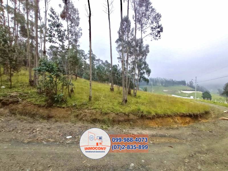 T157 Últimos lotes disponibles